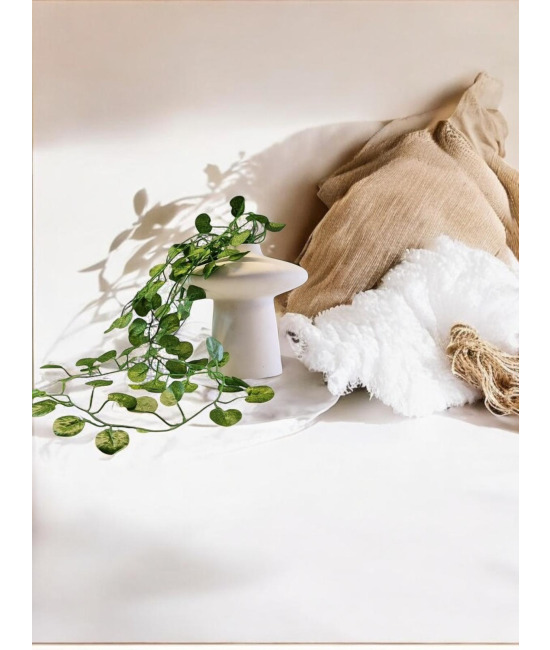 Boho Breeze - Amorf Vazo ve Yapay Bitki
