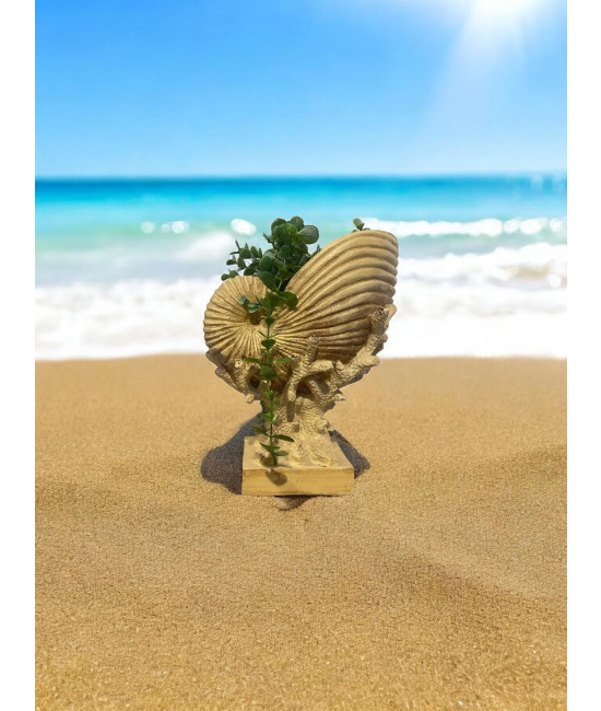 Kids Decor -  Deniz Kabuğu Saksı ve Yapay Bitki